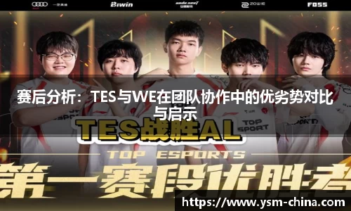 赛后分析：TES与WE在团队协作中的优劣势对比与启示