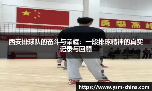 HB火博官方平台
