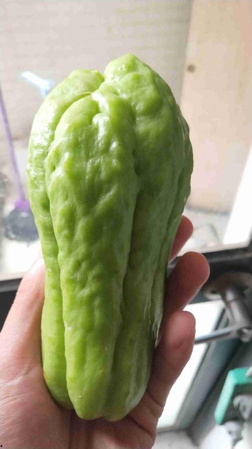 日本玲珑瓜怎样吃,日本玲珑瓜的多彩食法探索