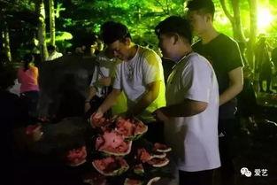 贵阳学院吃瓜事件,校园风波背后的真相探寻