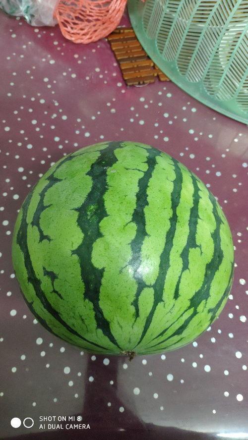 吃瓜涨肚子吗,吃瓜真的会涨肚子吗？揭秘瓜果的神奇效应