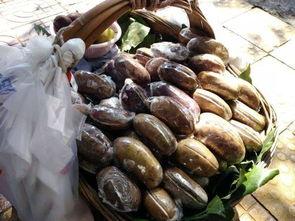 贵阳最新吃瓜事件