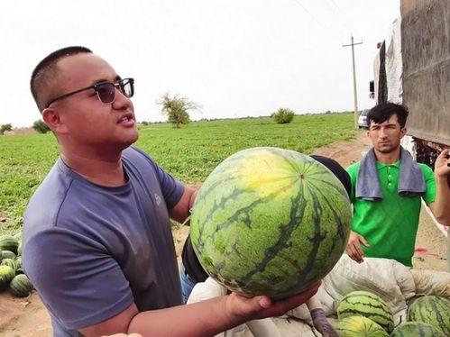 刘爱萍吃瓜,揭秘娱乐圈幕后真相