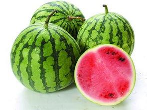 吃脑仁的瓜,探寻神秘美食背后的故事