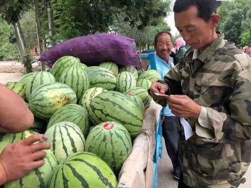 湾湾吃瓜视频大全,揭秘娱乐圈幕后故事