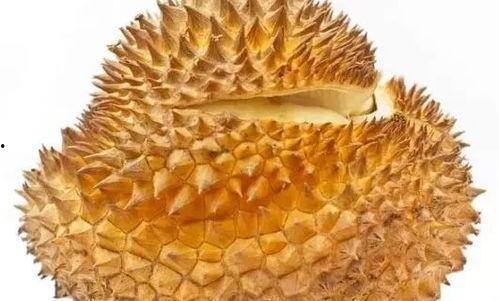 葡萄瓜怎么吃效果最好,最佳食用方法，尽享健康美味