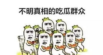 吃瓜群众冯某,揭秘娱乐圈幕后故事