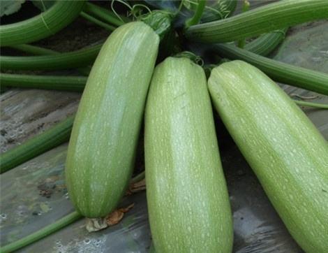 西羽吃瓜,揭秘娱乐圈背后的那些事儿