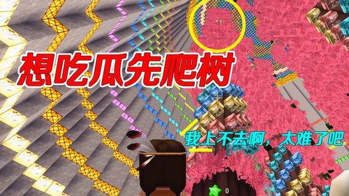 吃瓜村姑,揭秘乡村生活的甜蜜与苦涩