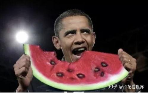 吃瓜美国公主,揭秘王室生活的甜蜜与苦涩