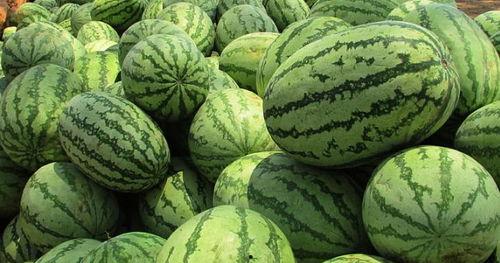 梦到吃西瓜小白瓜,西瓜小白瓜的甜蜜梦境解析