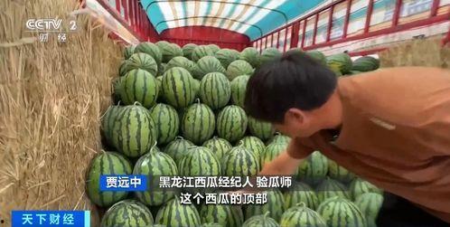 吃瓜狐仙,探寻神秘仙界的趣味传说