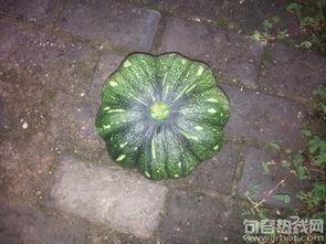 南小瓜怎么吃,解锁美味新体验