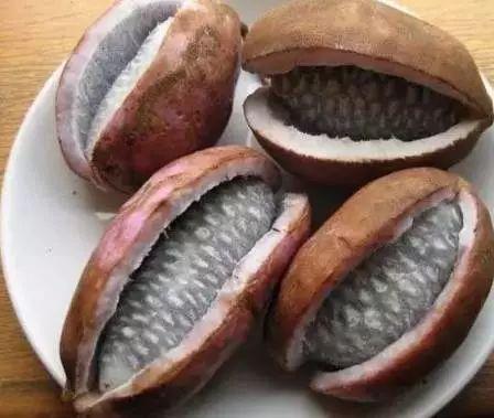 野生瓜蕉怎么吃,野生瓜蕉的多样食法探索