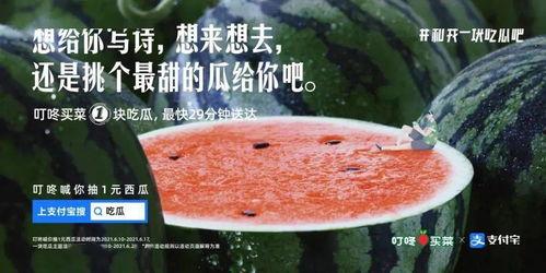 吃瓜配酒的文案,吃瓜配酒，尽享清凉时光