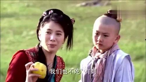 吃瓜群众情侣对话,情侣日常对话揭秘